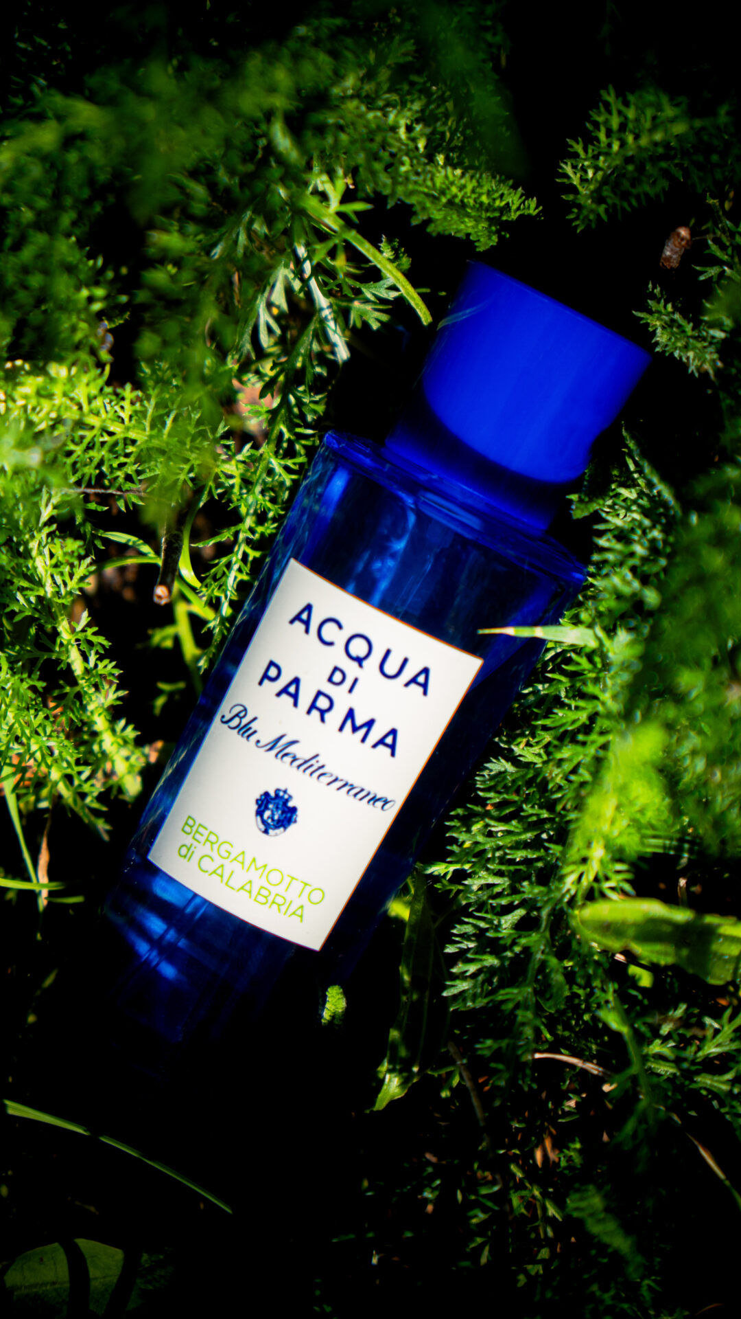 Parfüm von Acqua di Parma in einem Wiesenbett