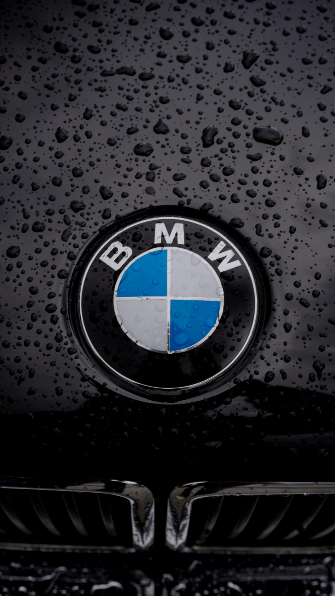BMW-Logo auf verregnetem, schwarzen E30
